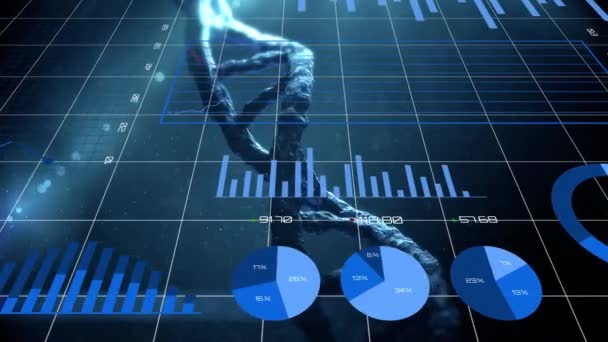Animation Blue Graphs Statistics Forming Dna Strain Spinning Blue Black — Stock Video