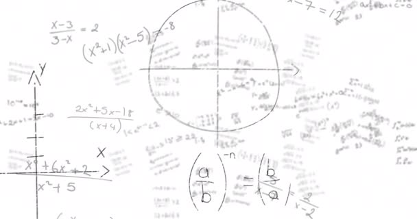 Animação Equações Matemáticas Pretas Fórmulas Flutuando Sobre Fundo Branco Conceito — Vídeo de Stock