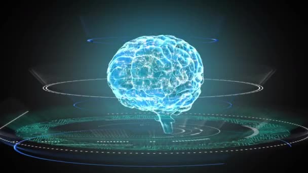 Animatie Van Een Menselijk Hersenmodel Dat Draait Microprocessorverbindingen Digitaal Online — Stockvideo