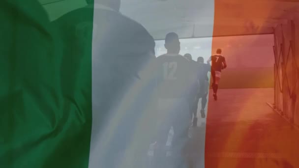 ピッチデジタル複合体に走っている多民族の男性ラグビーチームに手を振ってアイルランドの旗のアニメーション — ストック動画