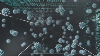 Veri işleme tünelinde yüzen makro Covid-19 hücrelerinin animasyonu. Coronavirus Covid-19 pandemik konsept dijital bileşik