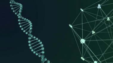 Arayüz tıbbi simgeleriyle bağlantı ağının animasyonu ve koyu arkaplanda yüzen dönen DNA yapısı. 