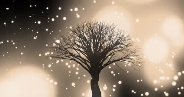 Animation Silhouette Tree White Shapes Floating Black Background White Lights — Stock Video