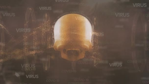 这个词的数字图解病毒和数字波形成扫描一个旋转的3D人类头骨 Coronavirus Covid 19大流行病概念数字组合 — 图库视频影像