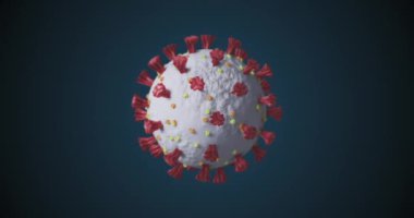 Mavi arka planda dönen makro Covid 19 Corona virüs hücresinin animasyonu. İlaç halk sağlığı salgını Coronavirus Covid 19 salgın kavramı dijital olarak üretilen kavram.