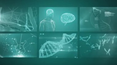 Tıbbi veri işleme animasyonu, DNA iplikçikleri ve dijital ekranlarda insan vücudu. Tıp bilimi konsepti dijital olarak oluşturulmuş görüntü.
