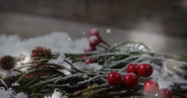 用冷杉在雪地上生长 雪花飘落 使一棵圣树生动活泼 圣诞冬季概念数码作文 — 图库视频影像