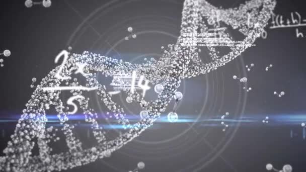 Dönen Dna Türünün Üzerinde Yüzen Matematiksel Denklemlerin Animasyonu Dijital Çevrimiçi — Stok video