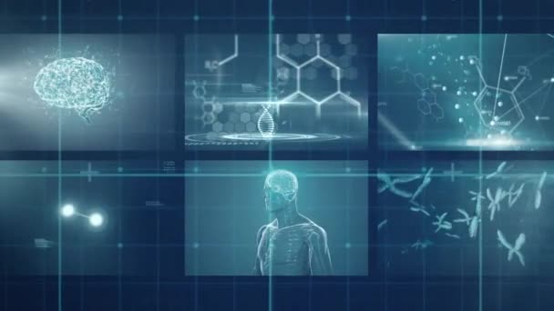 医療データ処理 Dna鎖のアニメーションは デジタル画面上で人間の脳と体を回します 医学研究の概念デジタル生成画像 — ストック動画