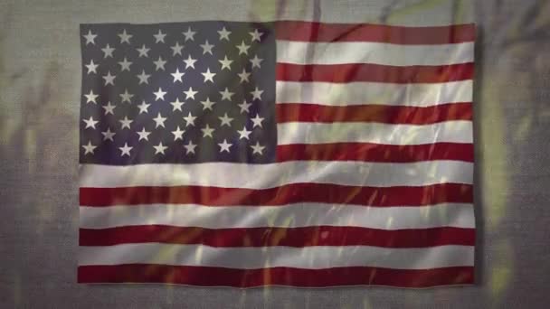 Animacja Amerykańskiej Flagi Machającej Trawą Tle Stany Zjednoczone Ameryki Flaga — Wideo stockowe
