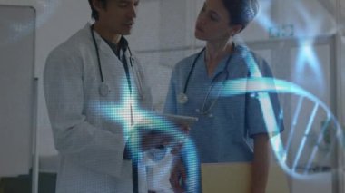 Çok ırklı kadın ve erkek sağlık çalışanlarının hastanede tartıştığı DNA modellerinin animasyonu. Coronavirus Covid-19 pandemik konsept dijital bileşik