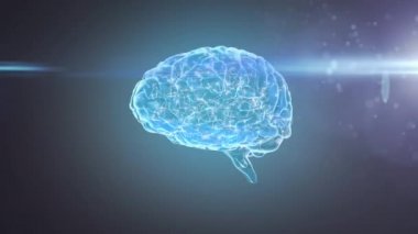 Parlak mavi arka planda dönen 3D parlayan insan beyninin animasyonu. Küresel bilim yapay zeka kavramı dijital olarak oluşturulmuş görüntü.