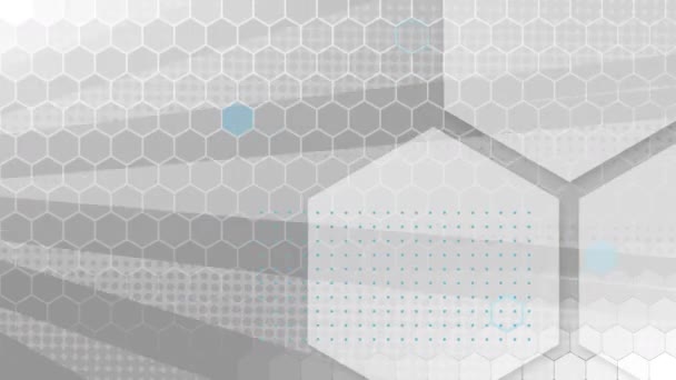 Animation Hexagon Outlines Mesh Rotating Grey Stripes Moving Hypnotic Motion — Stock Video