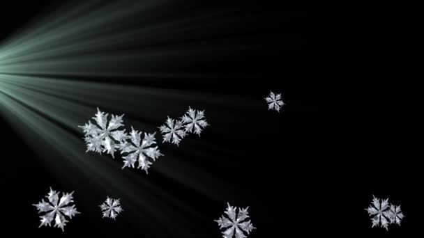 雪の結晶がゆっくりと落下し 黒い背景に輝く光のスポットがある雪のアニメーション — ストック動画