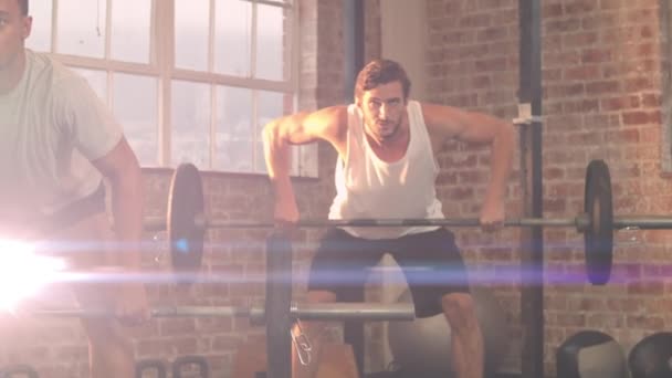 Animation Kaukasiska Och Blandras Män Utövar Med Skivstång Gym Med — Stockvideo