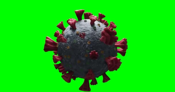Animazione Macro Coronavirus Covid Cella Che Gira Sfondo Schermo Verde — Video Stock