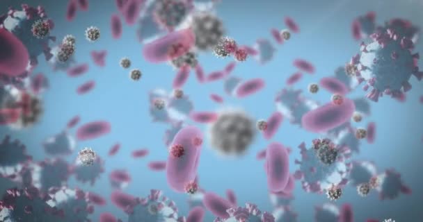 Animation Coronavirus Covid Και Αιμοσφαίρια Που Διαδίδονται Πάνω Από Τις — Αρχείο Βίντεο