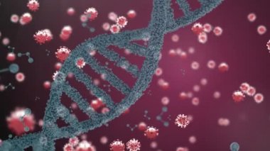 Kırmızı zemin üzerinde yüzen Covid 19 koronavirüs hücreleriyle dönen 3D DNA iplikçiklerinin animasyonu. Covid 19 salgın sağlık hizmetleri bilim konsepti dijital olarak oluşturulmuş görüntü.