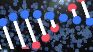 Siyah zemin üzerinde yüzen Covid 19 koronavirüs hücreleriyle dönen 3D DNA iplikçiklerinin animasyonu. Covid 19 salgın sağlık hizmetleri bilim konsepti dijital olarak oluşturulmuş görüntü.