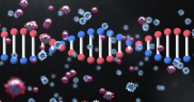 Siyah zemin üzerinde yüzen Covid 19 koronavirüs hücre ikonu ile dönen 3D DNA iplikçiklerinin animasyonu. Covid 19 salgın sağlık hizmetleri bilim konsepti dijital olarak oluşturulmuş görüntü.