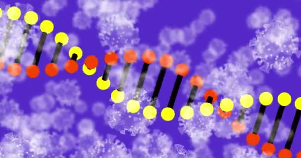 紫色の背景に浮かぶCovid 19コロナウイルス細胞で回転する3D Dna鎖のアニメーション Covid 19パンデミック医療科学コンセプトデジタル生成画像 — ストック動画