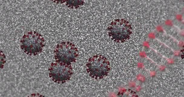 Covid 19细胞在灰色背景下的3D Dna链纺丝动画 Covid 19大流行病保健科学概念数字生成图像 — 图库视频影像
