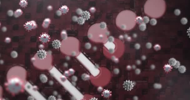 Animation Dna Strand Spinning Covid Coronavirus Cells Floating Black Red — Stock Video