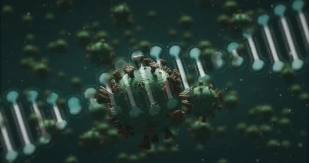 Animación Hebra Adn Girando Con Células Coronavirus Covid Flotando Sobre — Vídeos de Stock