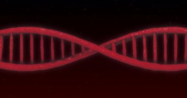 Kırmızı arka planda dönen çift sarmallı kırmızı DNA iplikçiklerinin animasyonu. Tıp genetiği bilim konsepti dijital olarak oluşturulmuş görüntü.