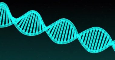 Mavi arka planda dönen mavi parlayan çift sarmallı DNA iplikçiklerinin animasyonu. Tıp genetiği bilim konsepti dijital olarak oluşturulmuş görüntü.