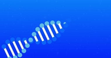 Mavi arka planda dönen çoklu mavi ve beyaz üç boyutlu çift sarmal DNA iplikçiklerinin animasyonu. Tıp genetiği bilim konsepti dijital olarak oluşturulmuş görüntü.