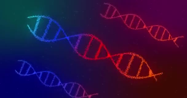 Animation Multiple Glowing Red Purple Blue Double Helix Dna Strands — Stock Video