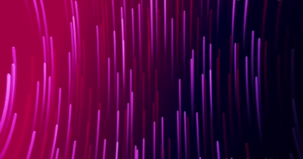 複数のピンクと紫の光るライトトレイルのアニメーションは 赤から紫の背景にグラデーション上のシームレスなループで催眠運動に移動します — ストック動画