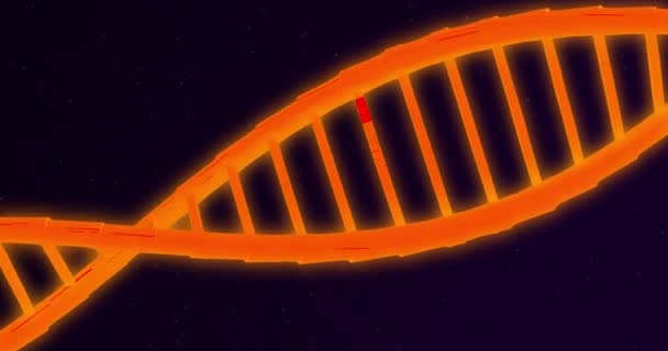 Animation Eines Orange Leuchtenden Doppelhelix Dna Strangs Der Sich Auf — Stockvideo