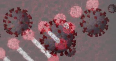 Dönen bir DNA ipliğine yayılan makro Coronavirus hücrelerinin animasyonu. Coronavirus Covid 19 salgın genetik konsepti dijital olarak üretildi..