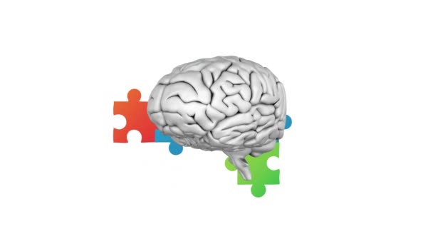 ジグソーパズルの上に回転するデジタル脳のデジタルアニメーションは 白い背景に対して長方形を形成します 自閉症意識の概念 — ストック動画