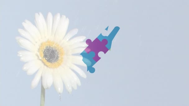 ジグソーパズルのデジタル複合ビデオは 白い花に散水に対して手を形成します 自閉症意識の概念 — ストック動画