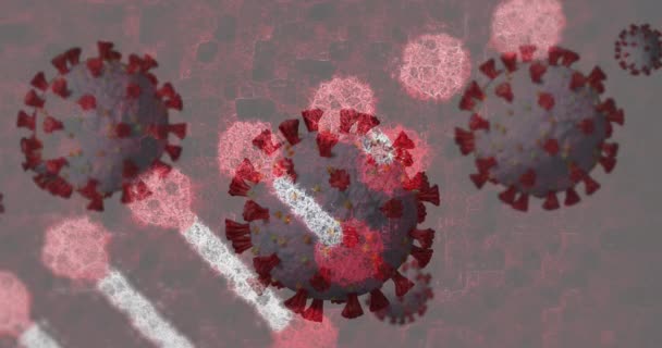 Animering Makrokoronavirusceller Som Sprider Sig Över Svängande Dna Sträng Coronavirus — Stockvideo