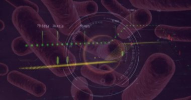 Covid-19 hücrelerinin hareket halindeki dönen dünya üzerindeki borsa verilerinin dijital animasyonu. Coronavirus Covid-19 salgını ve Global finansman kavramı