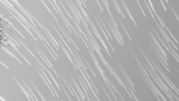 Animation Multiple Grey Light Trails Moving Hypnotic Motion Seamless Loop — Stock Video