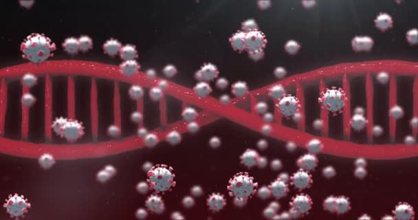 Анімація Коронавірусу Covid Клітин Поширюються Обертовим Ланцюгом Днк Глобальна Концепція — стокове відео