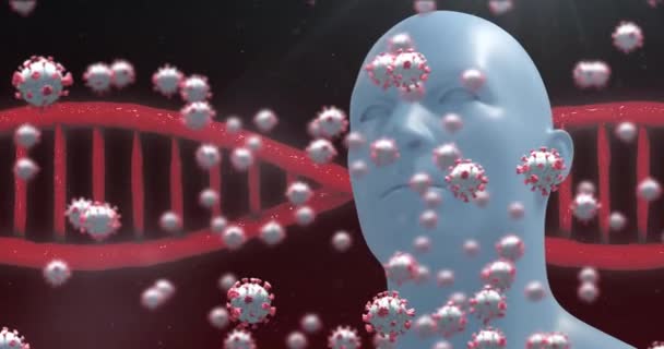 旋转Dna链和Coronavirus Covid 19细胞在人脑模型上的动画化 全球大肠癌流行概念数字生成图像 — 图库视频影像