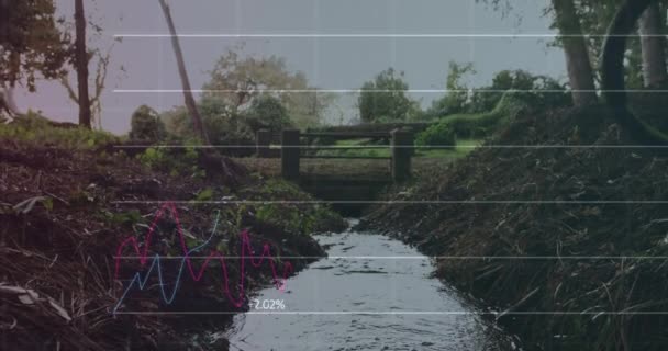 Animering Statistik Över Människans Cykling Skogen Bakgrunden Teknik Digital Databehandling — Stockvideo