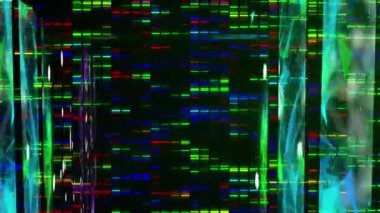 Plexus ağlarının dijital animasyonu siyah arkaplana karşı çok renkli ışıklar üzerinde. Küresel ağ ve bağlantı kavramı