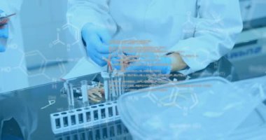 Araştırma sırasında örnekleri inceleyen iki laboratuvar çalışanının orta bölüm görüntüsünden akan verilerin animasyonu. Covid 19 salgın hastalıklar sağlık bilimi tıp konsepti dijital bileşik.