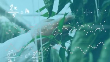 Bir seradaki araştırma sırasında bir laboratuvar çalışanının orta bölüm görüntüsünde dönen formül ve grafiklerin animasyonu. Covid 19 salgın sağlık hizmetleri bilim konsepti dijital olarak oluşturulmuş görüntü.