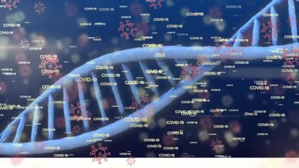 文体Covid 19和Coronavirus Covid 19细胞的动画在蓝色背景下旋转Dna链扩散 全球大肠癌流行概念数字生成图像 — 图库视频影像