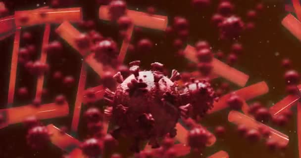 Animation Coronavirus Covid Cellules Propageant Avec Brin Adn Rotatif Concept — Video