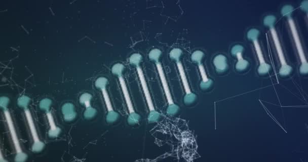 Digital Animation Dna Struktur Snurrar Över Mänsklig Skalle Med Nätverk — Stockvideo