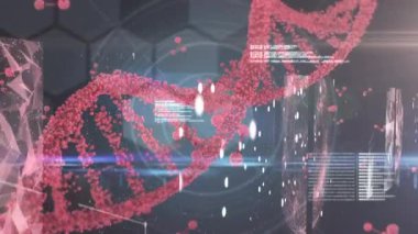 Dijital arayüzü döndüren DNA iplikçiklerinin tıbbi veri işleme animasyonu. Küresel teknoloji tıbbı çevrimiçi ağ konsepti dijital olarak oluşturulmuş görüntü.